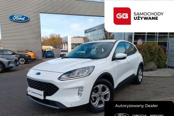 1.5EcoBlue 120KM SalonPL HistoriaASO P.Zima FV23% Gwarancja