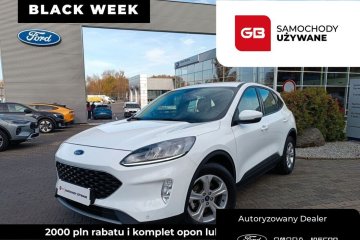 *OFERTA BLACK WEEK* 1.5EcoBlue 120KM SalonPL HistoriaASO P.Zima FV23%